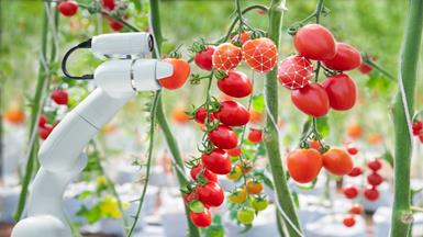 Tối đa hoá hiệu quả của việc ứng dụng robot trong lĩnh vực nông nghiệp